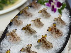 -富来美食(成发大厦店)