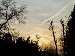 -北京大学-燕南食堂