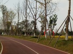 -白鹭湾湿地公园