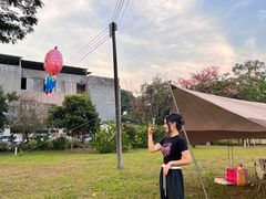 -风云岭森林公园