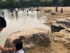 -青枫公园