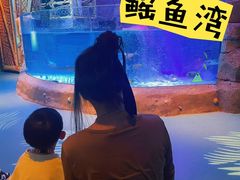 -沈阳海洋探索中心