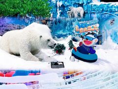 -长鹿旅游休博园
