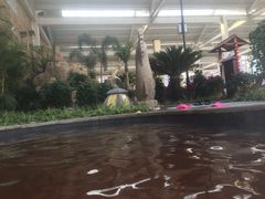 -太白山御龙湾温泉