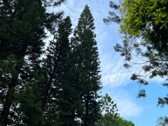 -人民公园(罗湖区)