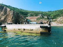 -海驴岛(荣成市)