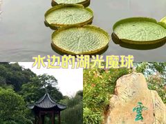 -云溪植物园