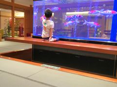 -大江户·温泉洗浴(浑南店)