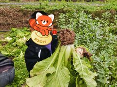 -宾果蒙特梭利托育儿童之家幼儿园(爱琴海店)