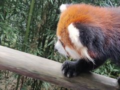 -宫廷糕点铺(建设路店)