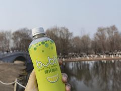 -西安浐灞国家湿地公园