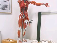 -体博士·疼痛调理·体态矫正·运动康复中心(大望路华贸店)
