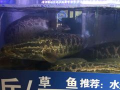 -爱妻鱼•老体北重庆水煮鱼•川菜(白云路店)