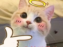 -米纸越南小馆(金鹰世界店)