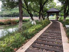 -月湖风景区