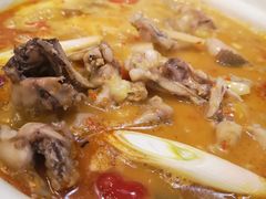 自制泡菜牛蛙锅-付掌柜在成都·热炒砂锅集(金禾店)