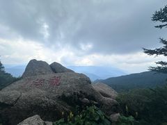 -芦芽山旅游度假区