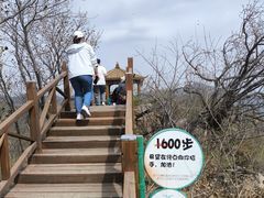 -大岭沟猕猴桃谷风景区