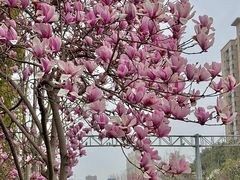 -杨高南路(地铁站)