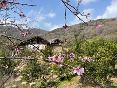 -南北湖风景区
