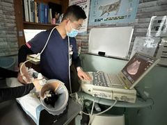 -纳吉亚猫专科动物医院博雅分院