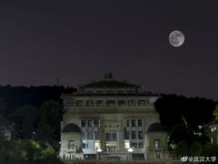 -糯米包油条(武汉大学店)