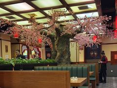 -八大碗·地道东北菜(中街店)
