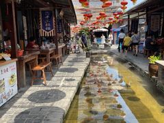 -茯茶镇