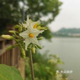 森林公园二刷