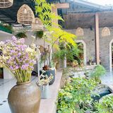 🌷与绿色双皮奶相逢🌷