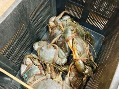 -無招牌海鮮(芽笼店)