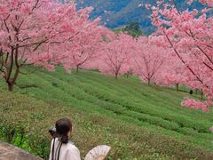 -灵光寺