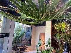 -J Create城市露营咖啡·简餐·宠物(上海动物园店)