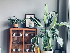 -一叶觅山(半边街店)