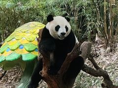 -广州长隆野生动物世界