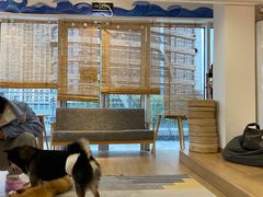 -南京Hallo宠物乐园·哈罗犬舍·柴犬繁育基地
