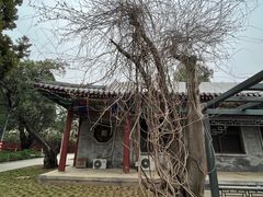 -北京市劳动人民文化宫(太庙)