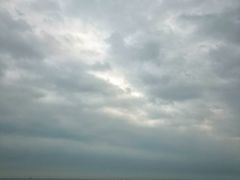 -红树林天天赶海
