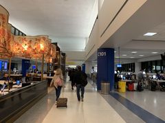 -纽瓦克自由国际机场