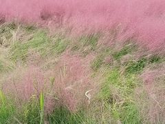 -南通大学-食堂