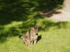 -徐家汇源景区-衡山公园