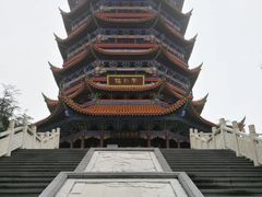 -铁山坪森林公园