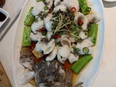 -侨美·唐荔园·40年地道粤菜