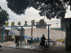 -柴犬高等学院·狗咖·柴犬售卖·宠物训练