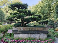 -成都杜甫草堂博物馆