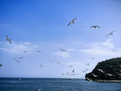 -棒棰岛宾馆景区