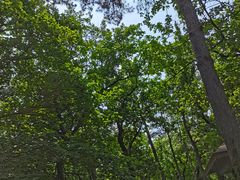 -沈阳市东陵公园