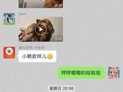 -趣玩宠物乐园寄养训犬训狗游泳池