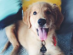 iphone_upload_pic-爱侣宠医·鹦鹉专科·小型哺乳类·异宠专科(灵石路店)