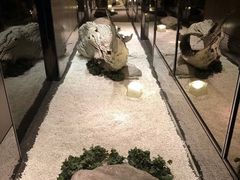 -江滨九号.中餐厅(滨江店)
